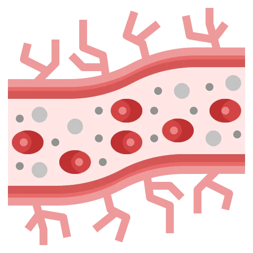 Ayurveda Panchakarma Detoxification for Immunity Boosting